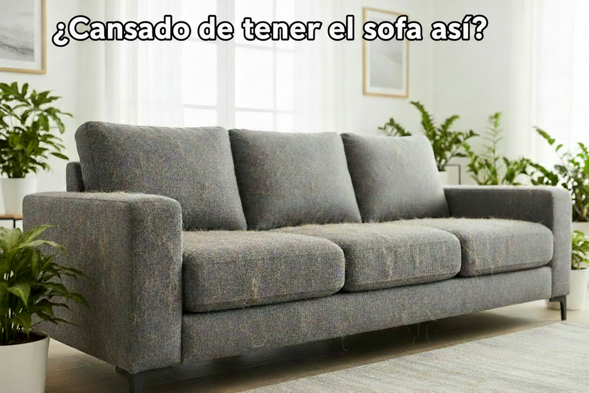 Sofá con pelos - ¿Cansado de tener el sofa así?